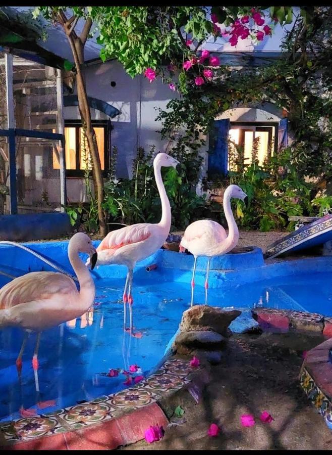 La Posada Del Sol Villa Gesell Exterior foto